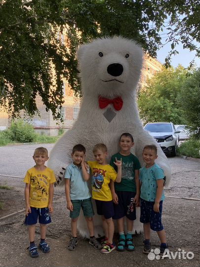 Белый мишка поздравление