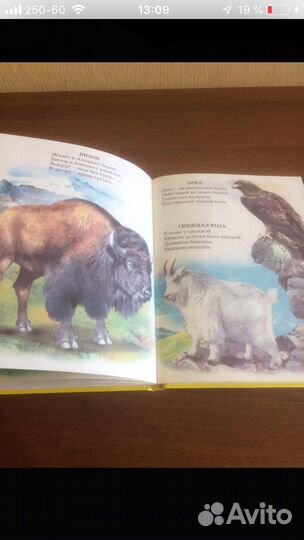 Атлас животного мира