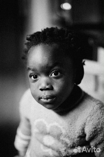 Пресеты Lightroom RNI All Films 5 - Pro