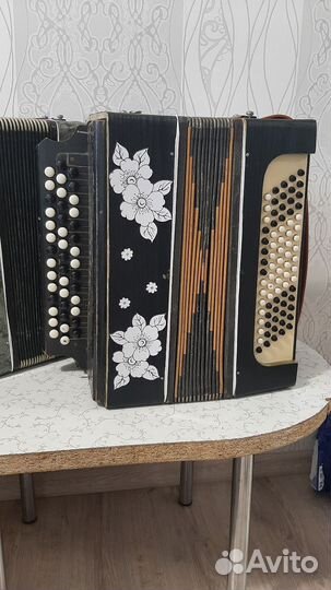 Баян кировский