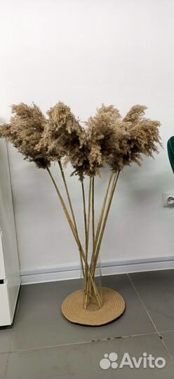 Цветы сухоцветы