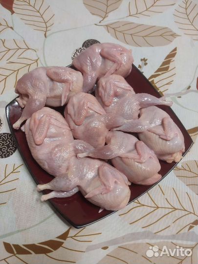 Яйца перепелиные,мясо перепелов,суточные перепелят