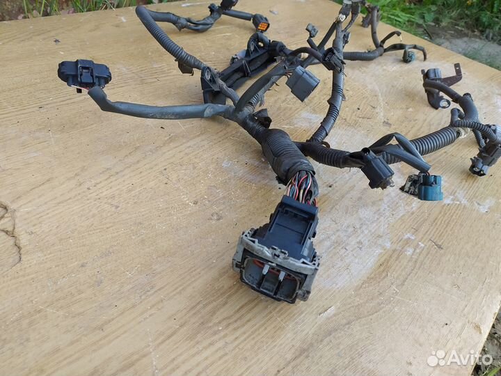 Subaru outback 2.5 проводка двигателя
