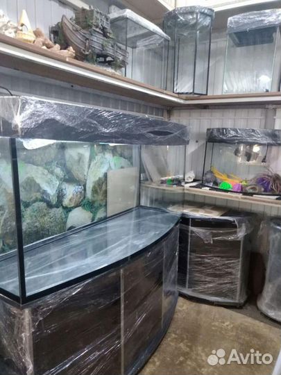 Аквариумы и всё для них
