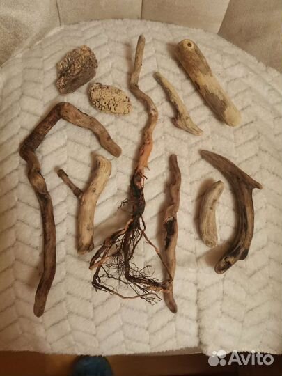 Коряги. Дрифтвуд