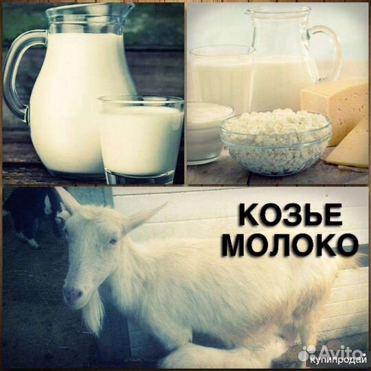 Козье молоко