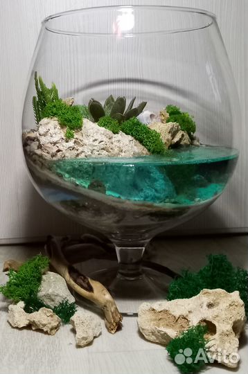 Флорариум с цветами в подарок