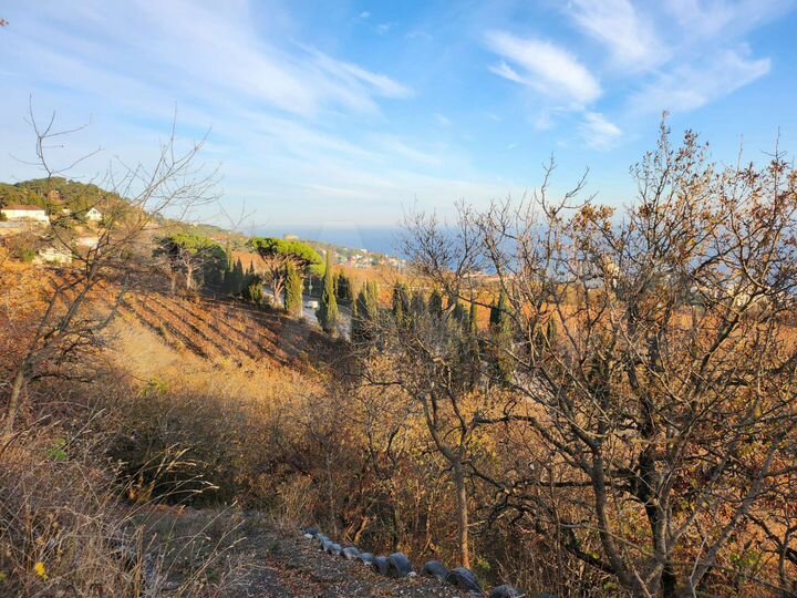 Участок 5 сот. (ИЖС)