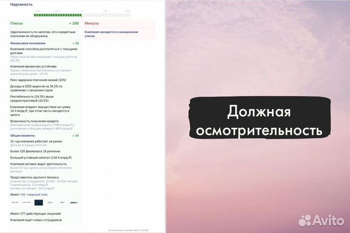 Проверка юридических лиц (выгрузка из сбис)