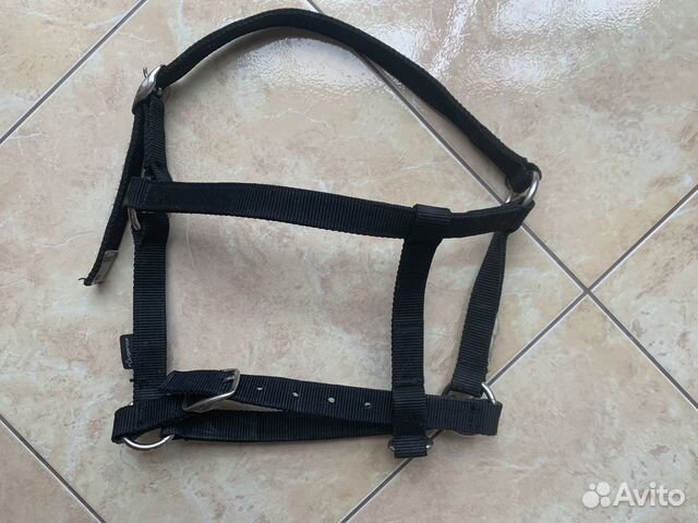 Недоуздок для лошади