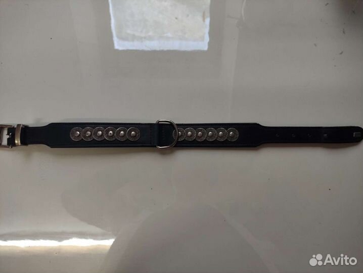 Ошейник для собак hunter Basic Rom 41-49 см