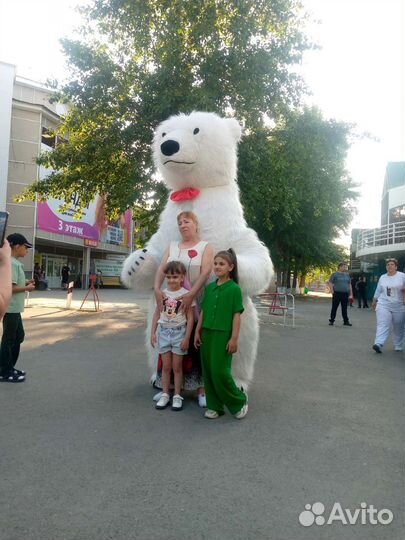 Белый медведь поздравление