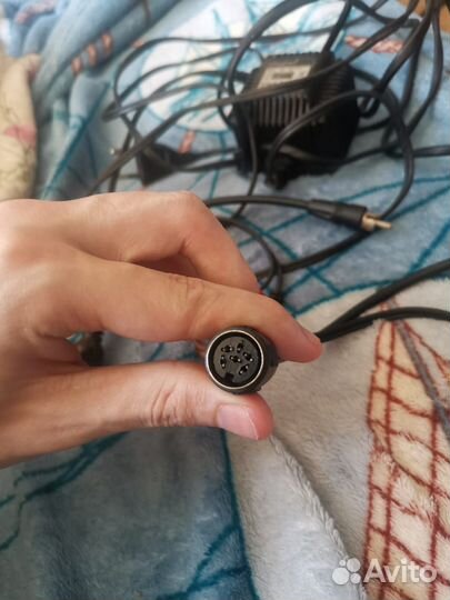 Ретро акустические тюлпаны