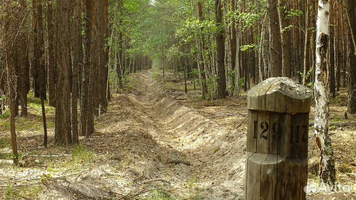 Отвод и таксация лесосек