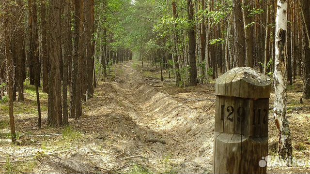 Отвод и таксация лесосек