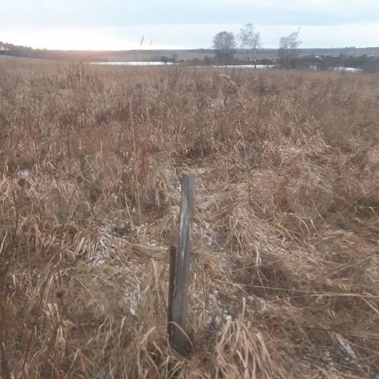Участок 15 сот. (ИЖС)