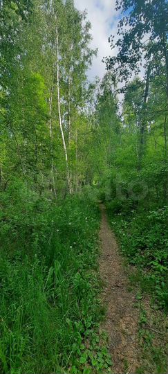 Участок 6 сот. (СНТ, ДНП)