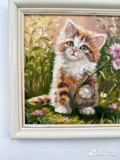 Картина маслом с котенком Картина в рамке