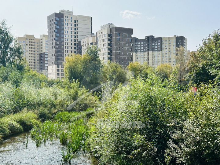 1-к. квартира, 49,1 м², 14/17 эт.