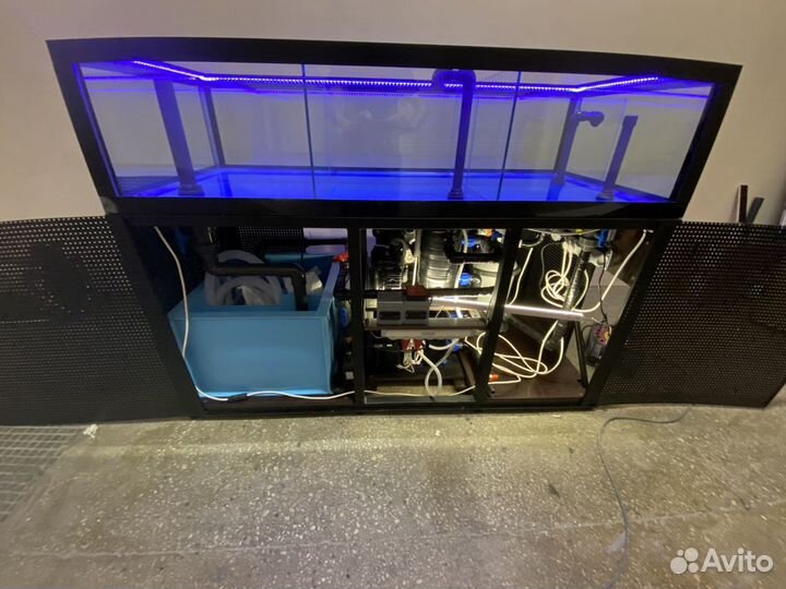 Аквариум узв передержка устриц краба морепродуктов