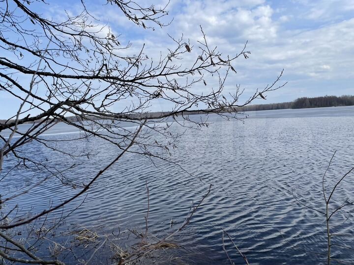 Участок 91 сот. (СНТ, ДНП)