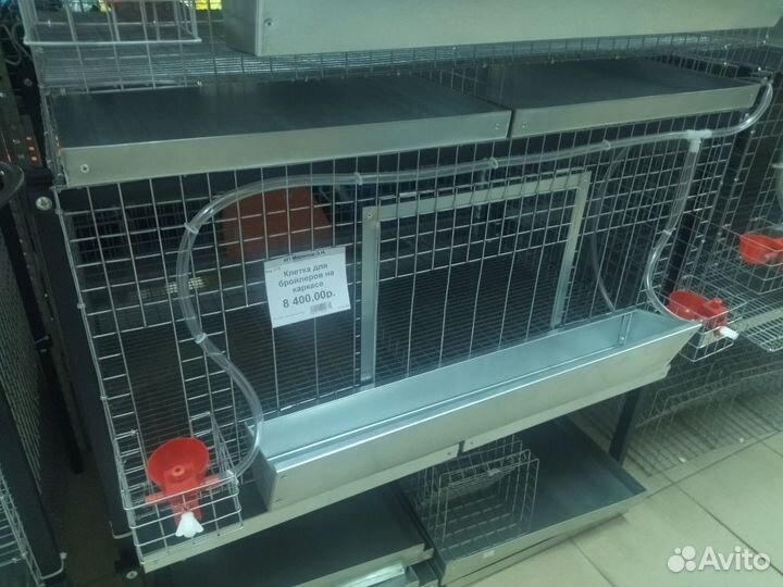 Клетки для кур молодняка, бройлеров и несушек