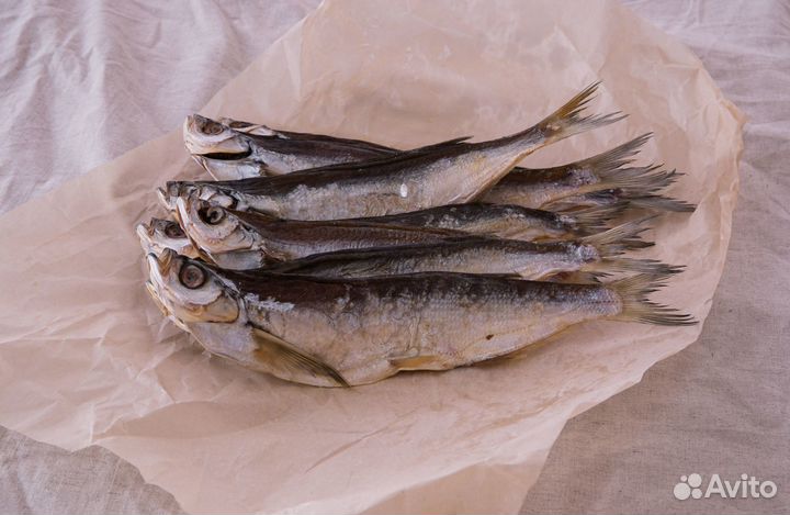 Астраханская чехонь