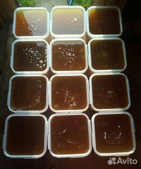 Свежий мед Разнотравье темное оптом