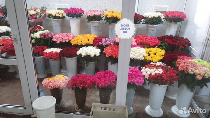 Роза Букеты Оптом и Поштучно Доставка