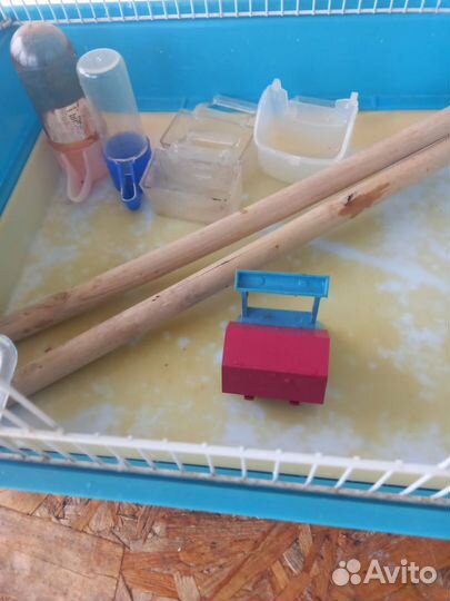 Большая клетка для птиц