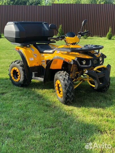 Avantis hunter 200 big lux