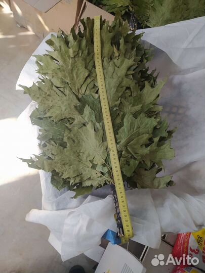 Веники для бани