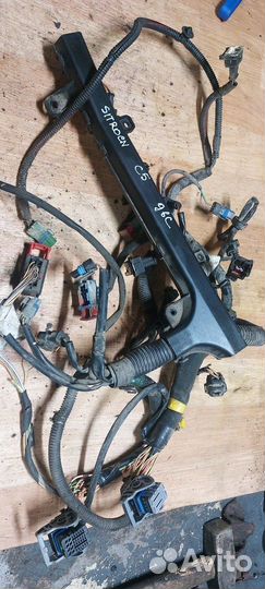 Подкапотная проводка Ситроен с5, автовыкуп/разбор