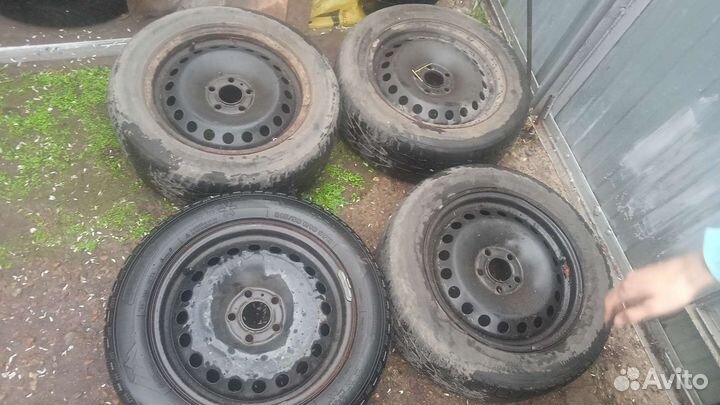 Tigar Winter 215/55 R16 97H