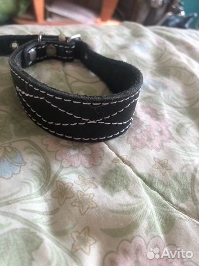 Амкниция для собак