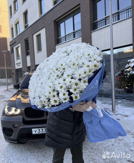 Ромашки цветы букеты доставка цветов