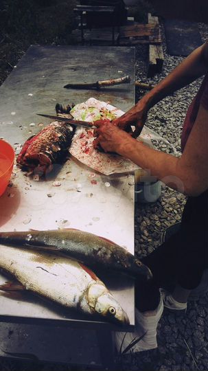 Дом 64 м² на участке 27 сот.