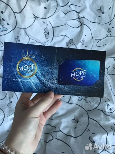 Сертификат в морепарк