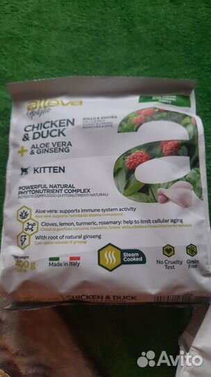 Сухой корм для котят