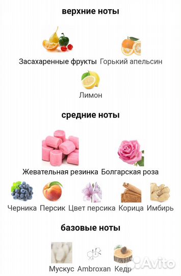 Moschino toy 2 bubble gum