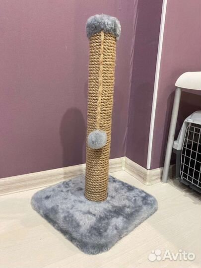 Когтеточка