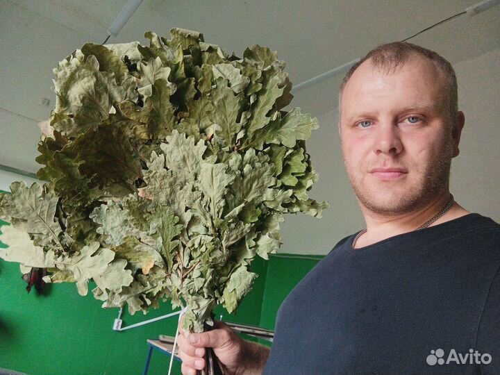 Веники дуб берёза клен осина рябина