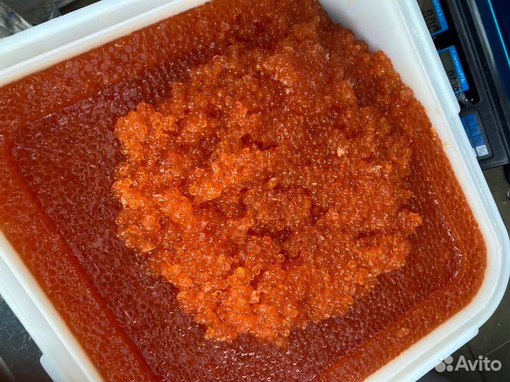 Красная икра Кижуча оптом