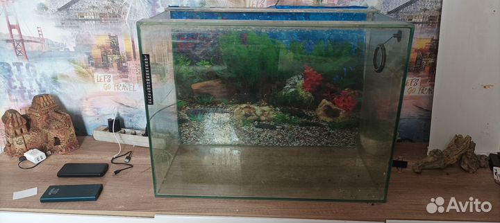 Аквариум