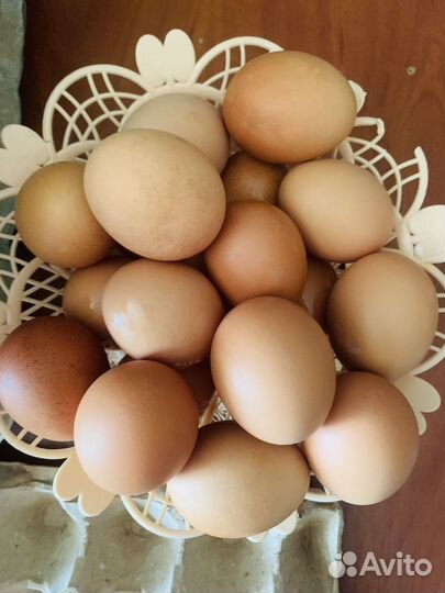 Куриные яйца домашние