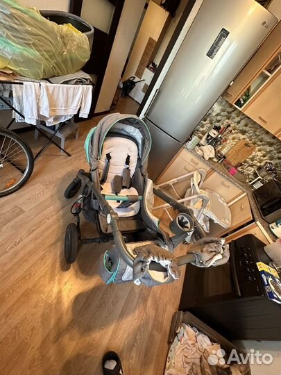 Коляска 2 в 1 adamex barletta