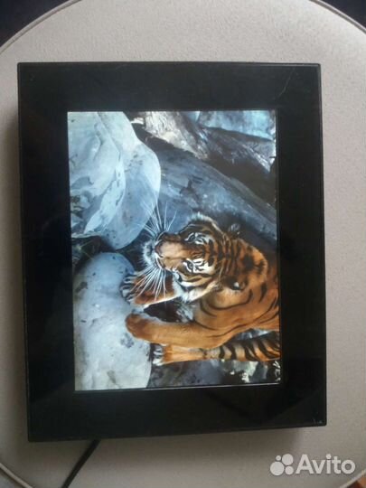 Фоторамка ViewSonic