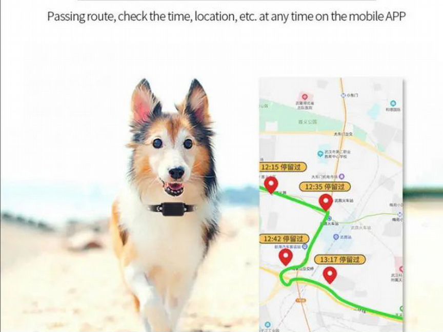 Gps трекер для собак и кошек