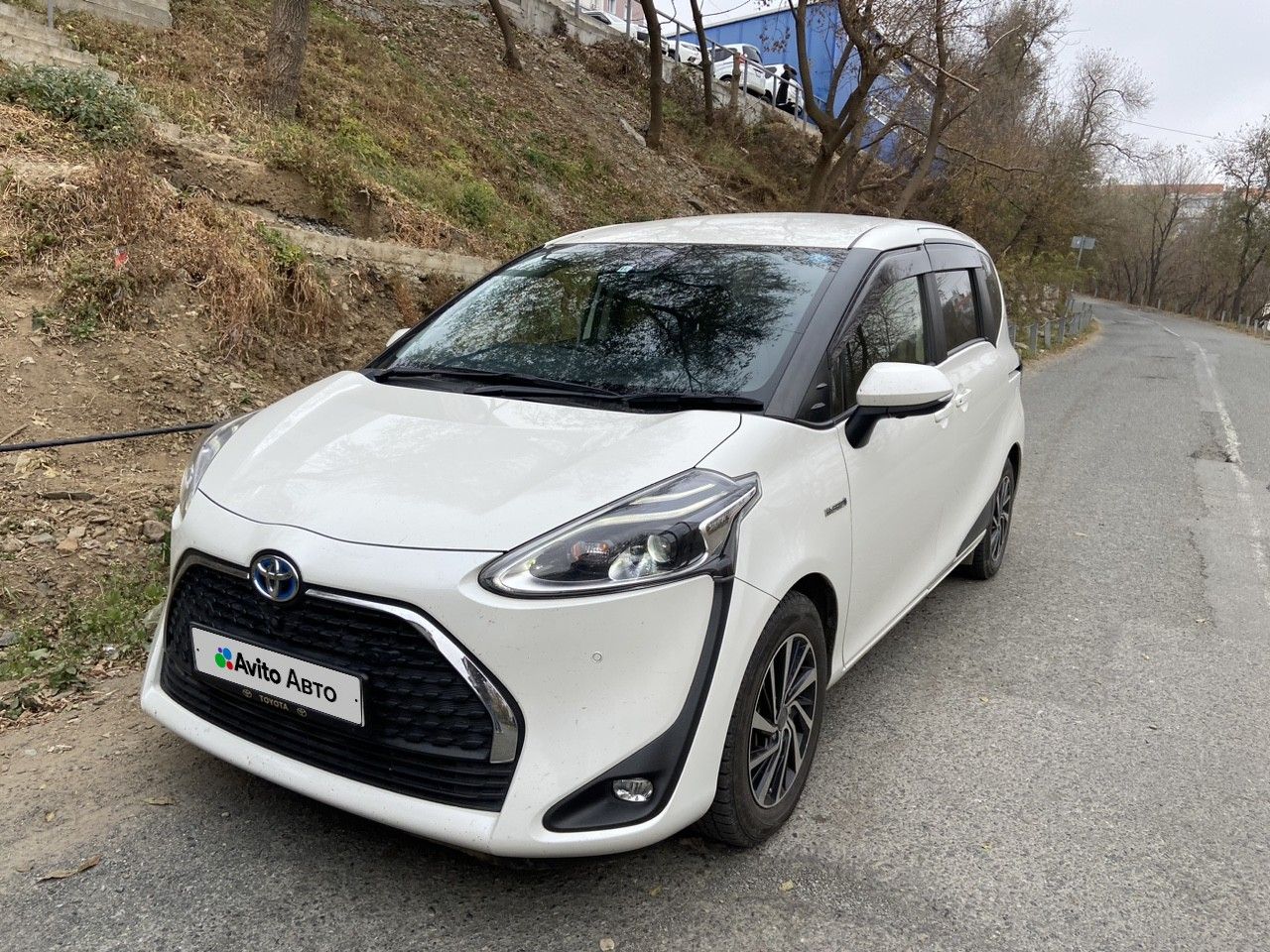 Toyota Sienta: фото владельца