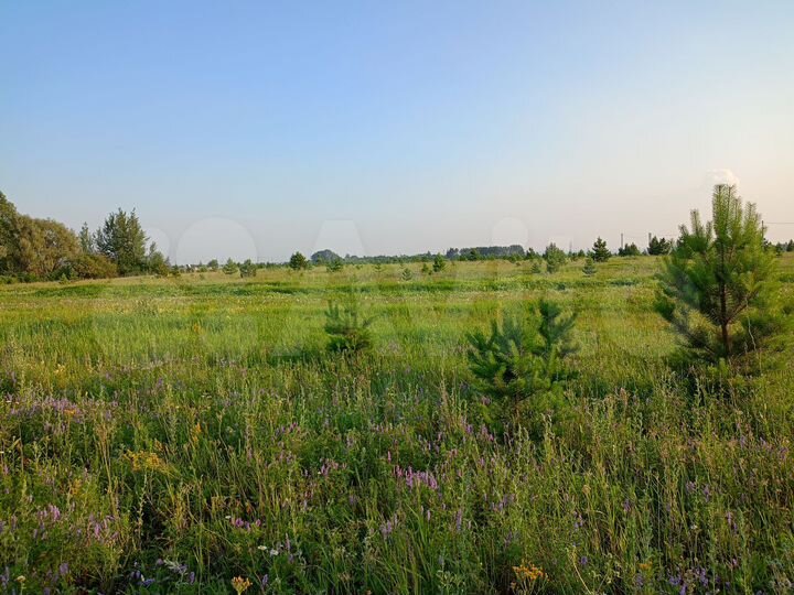 Участок 15 сот. (ИЖС)